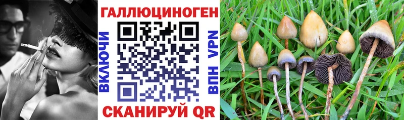 Псилоцибиновые грибы Magic Shrooms Чулым